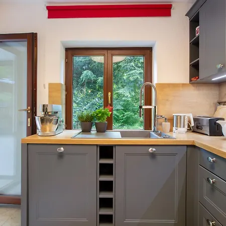 Amadeus Black Forest Mountain