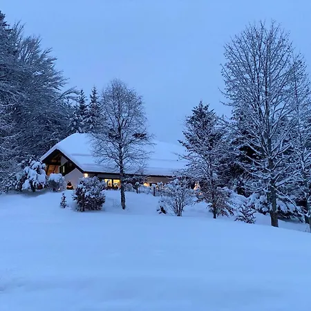Amadeus Black Forest Mountain Casa vacanze Todtmoos