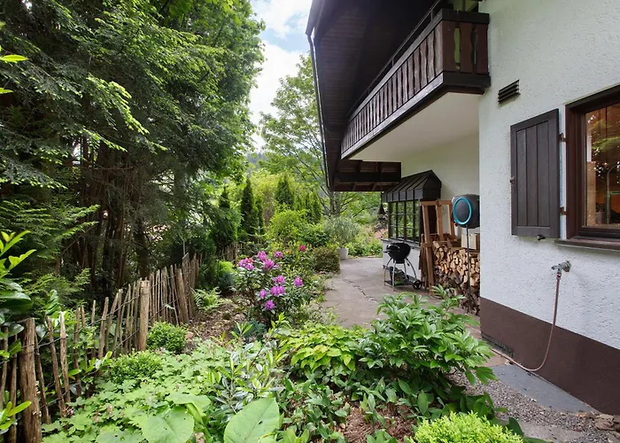 Amadeus Black Forest Mountain * Todtmoos