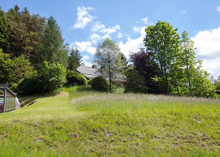 Amadeus Black Forest Mountain Todtmoos